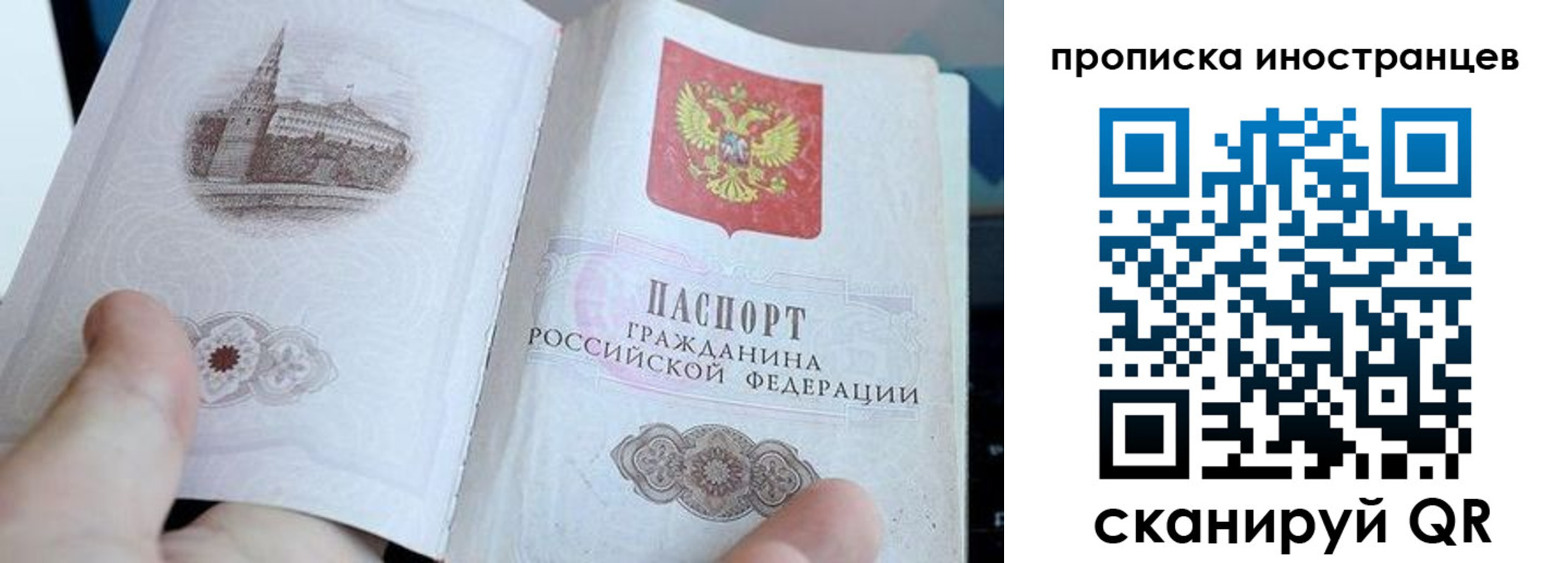 прописка поиск в Судогде